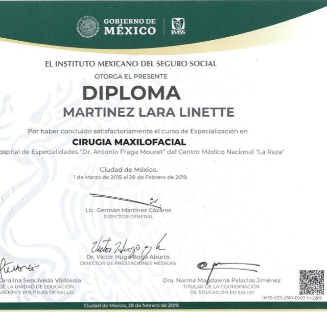 Ampliar imagen: certificate 2
