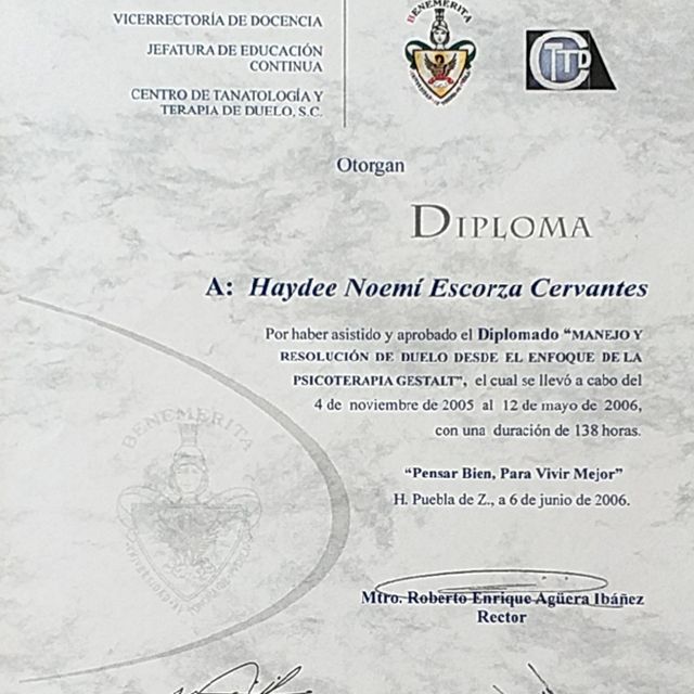 Ampliar imagen: certificate 5
