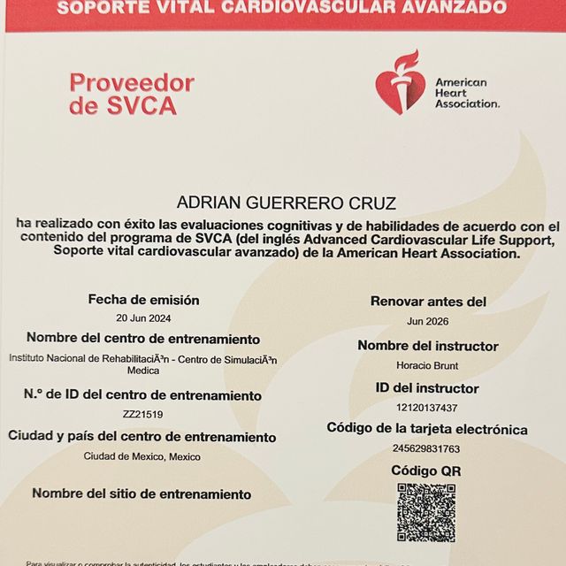 Ampliar imagen: certificate 11