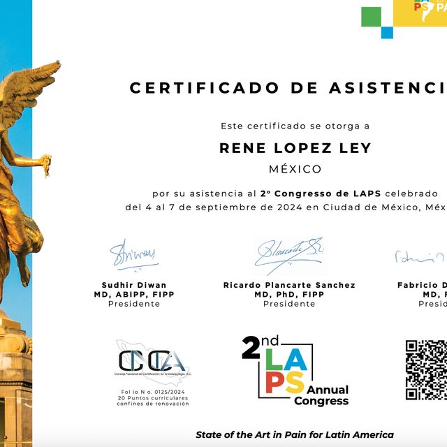 Ampliar imagen: certificate 11