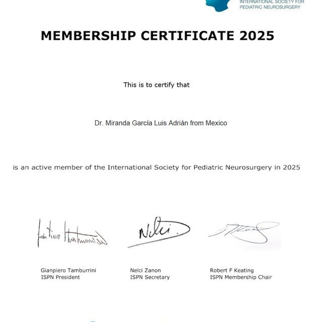 Ampliar imagen: certificate 3