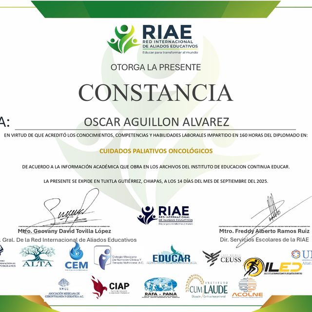 Ampliar imagen: certificate 3