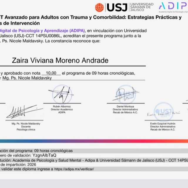 Ampliar imagen: certificate 5