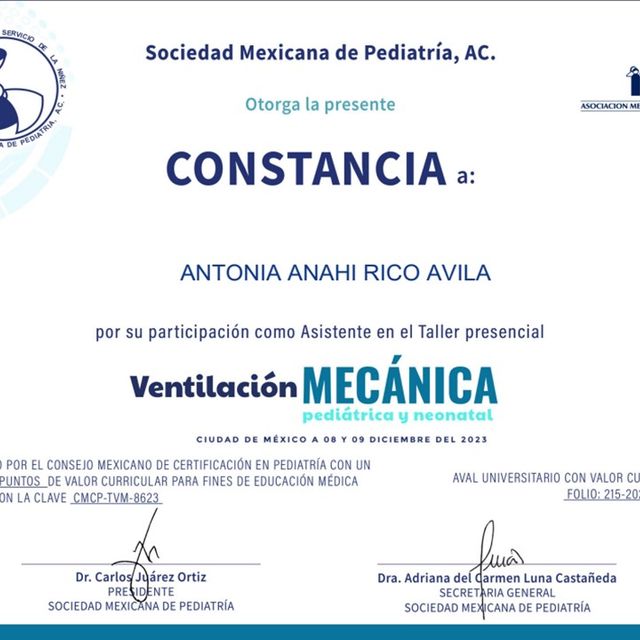 Ampliar imagen: certificate 2