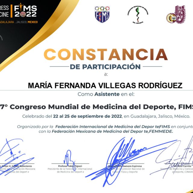Ampliar imagen: certificate 3