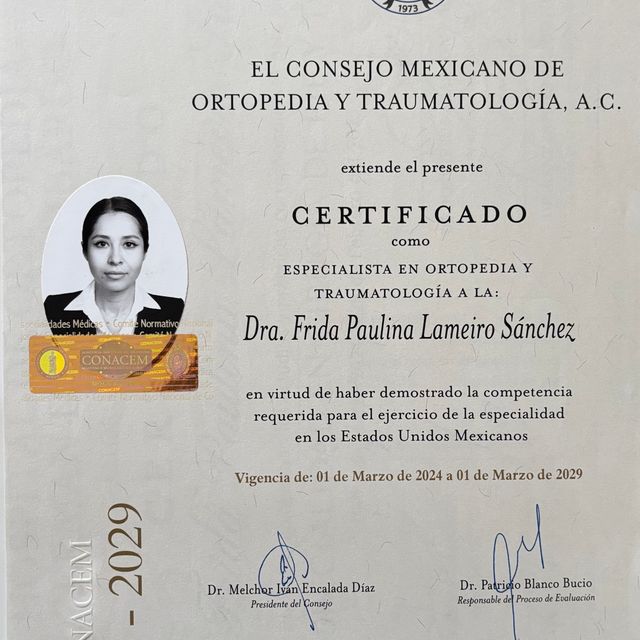 Ampliar imagen: certificate 1