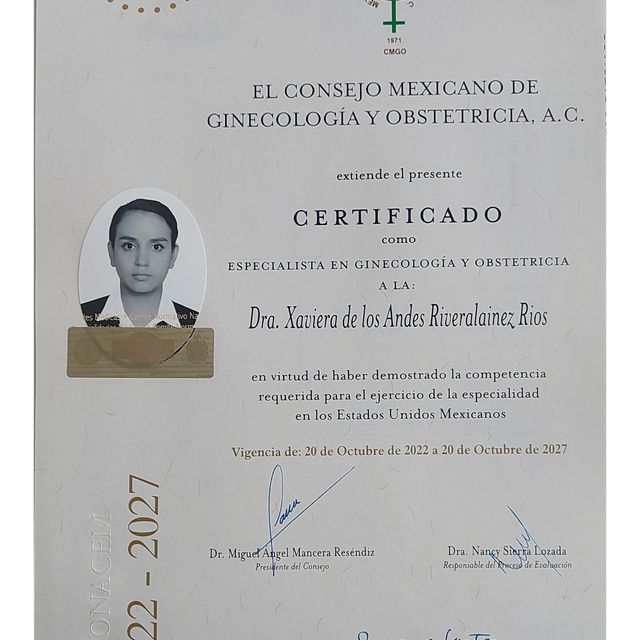 Ampliar imagen: certificate 1