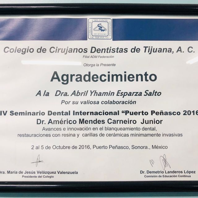 Ampliar imagen: certificate 13