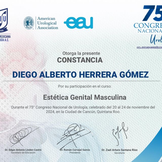 Ampliar imagen: certificate 3