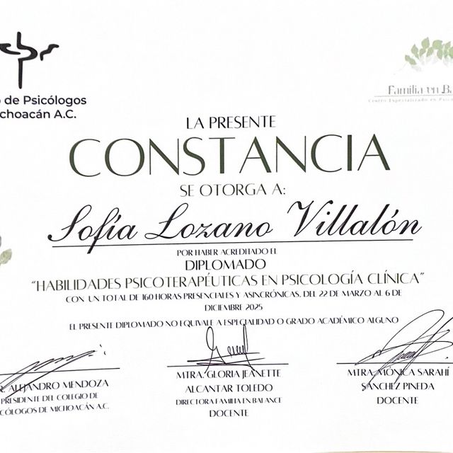 Ampliar imagen: certificate 4