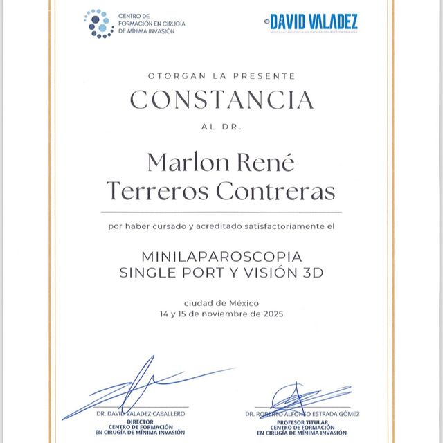 Ampliar imagen: certificate 9
