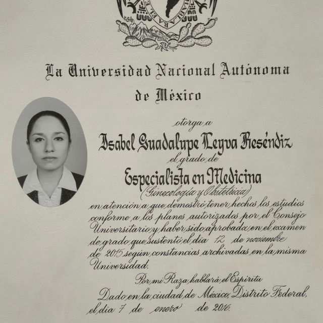 Ampliar imagen: certificate 2