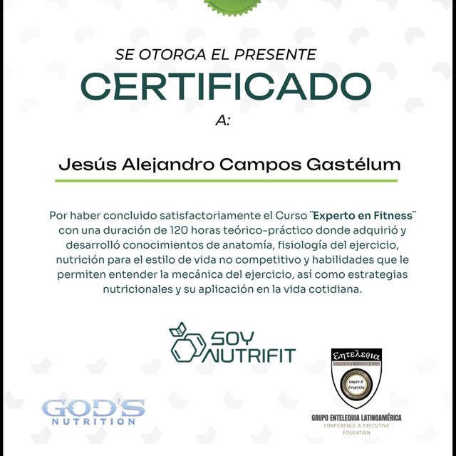 Ampliar imagen: certificate 7