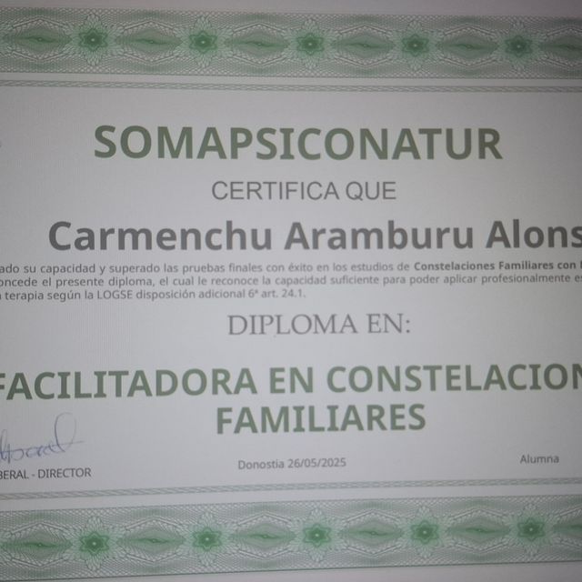Ampliar imagen: certificate 7