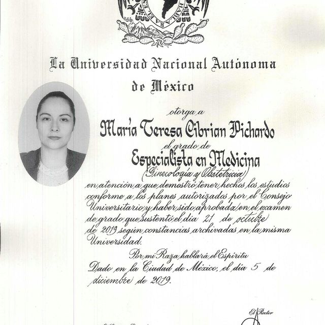 Ampliar imagen: certificate 2