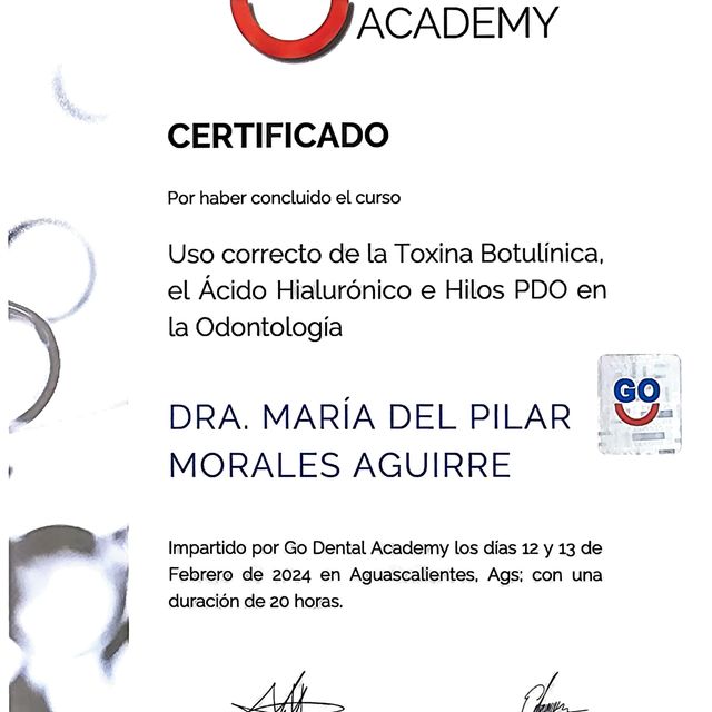 Ampliar imagen: certificate 7