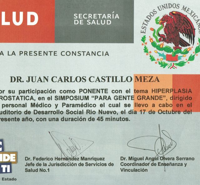 Ampliar imagen: certificate 4