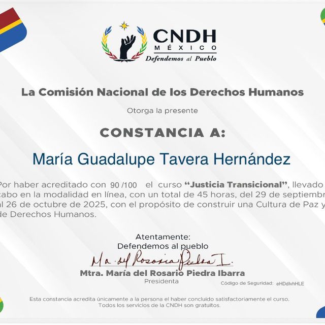 Ampliar imagen: certificate 102