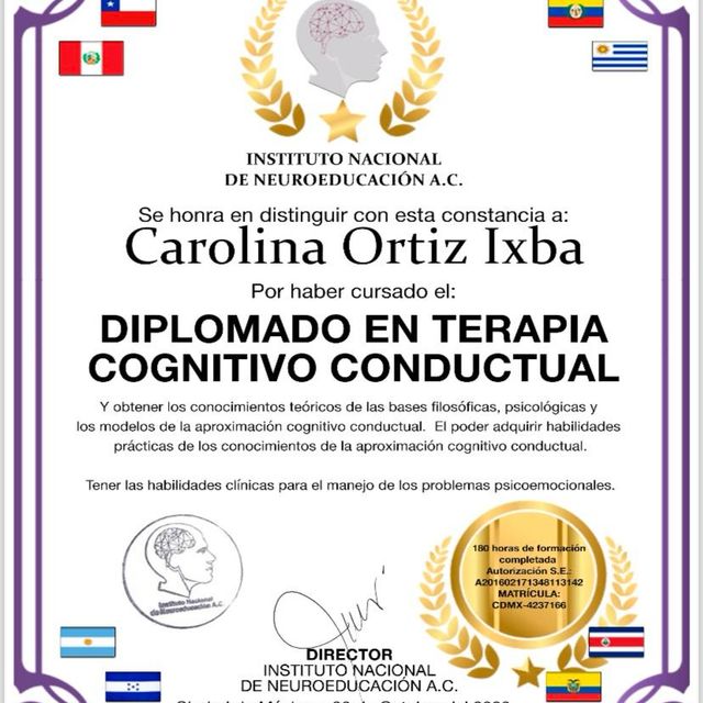 Ampliar imagen: certificate 2