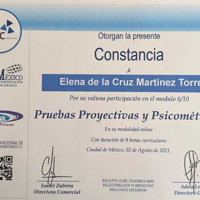 Ampliar imagen: certificate 3