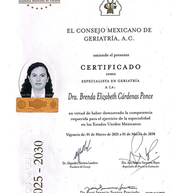 Ampliar imagen: certificate 1