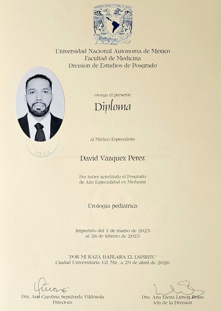 Ampliar imagen: certificate 1