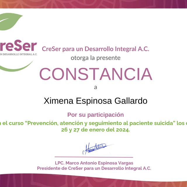 Ampliar imagen: certificate 8