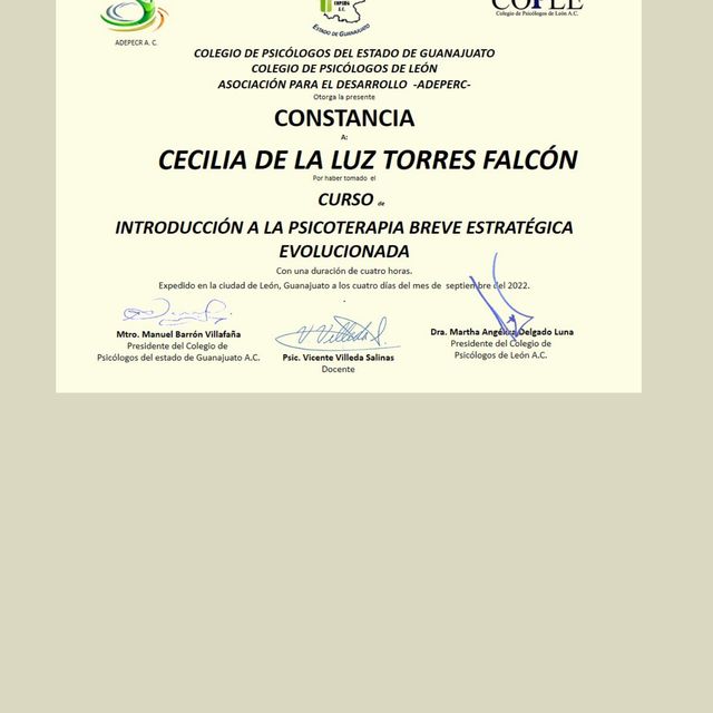 Ampliar imagen: certificate 1