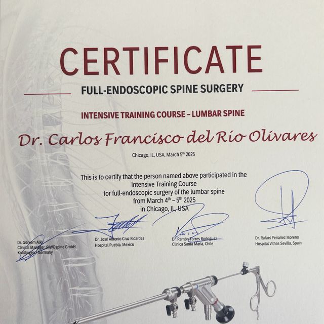 Ampliar imagen: certificate 1