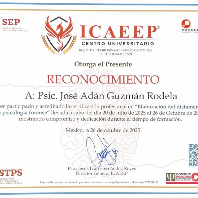 Ampliar imagen: certificate 4