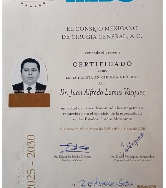 Ampliar imagen: certificate 2