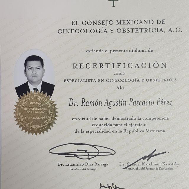 Ampliar imagen: certificate 11