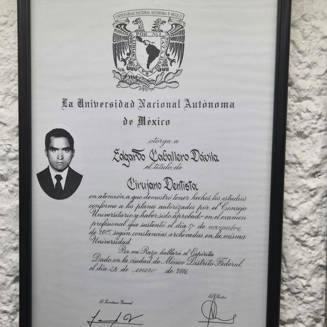 Ampliar imagen: certificate 1