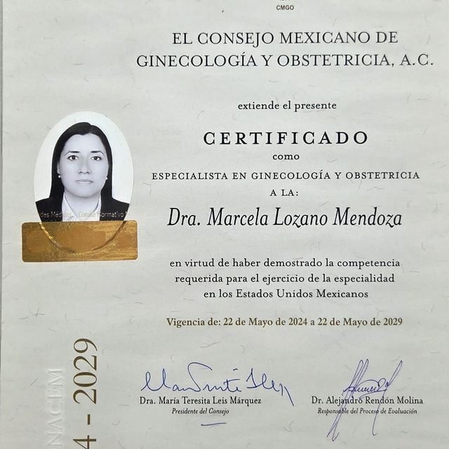 Ampliar imagen: certificate 2