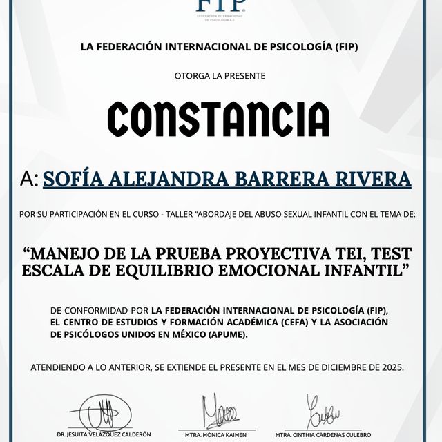 Ampliar imagen: certificate 9