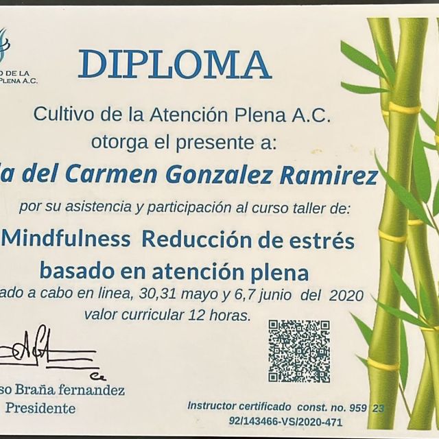 Ampliar imagen: certificate 1