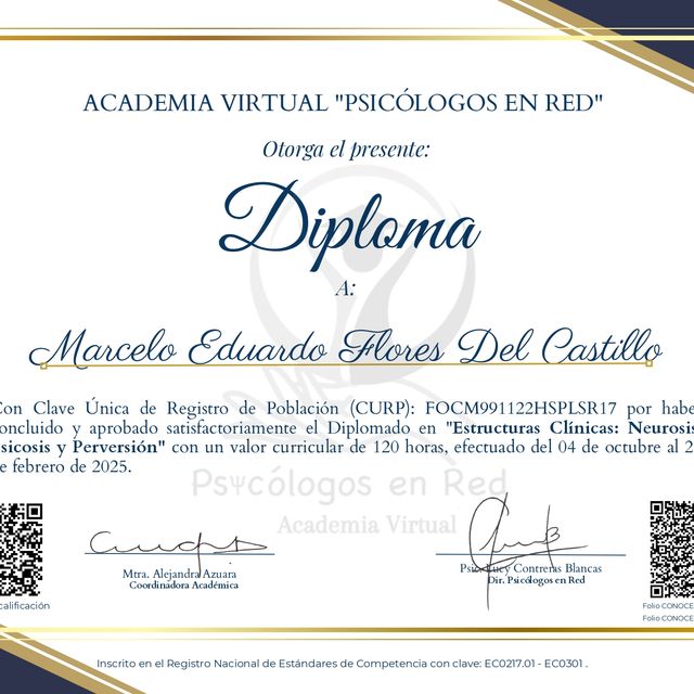 Ampliar imagen: certificate 1