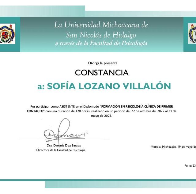 Ampliar imagen: certificate 3