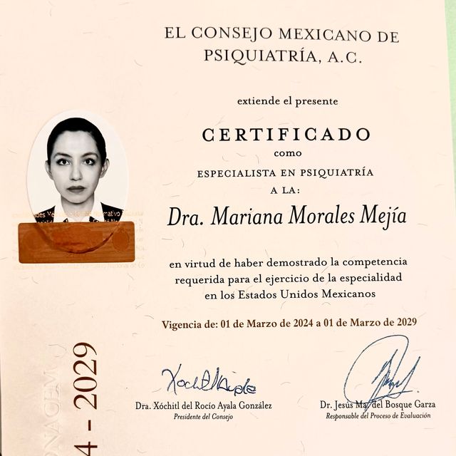 Ampliar imagen: certificate 1