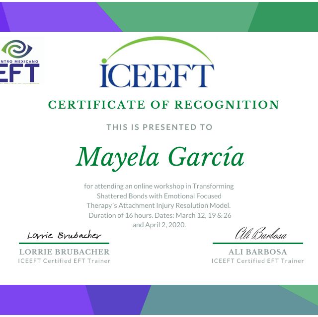 Ampliar imagen: certificate 4