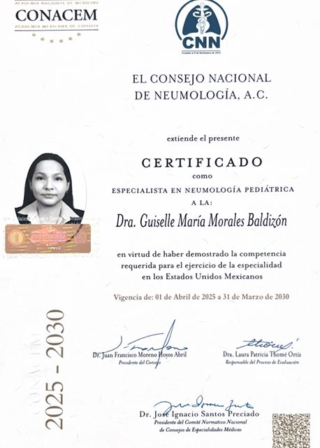 Ampliar imagen: certificate 3