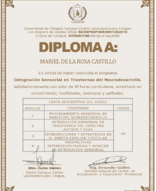 Ampliar imagen: certificate 4
