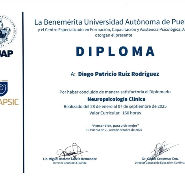 Ampliar imagen: certificate 4