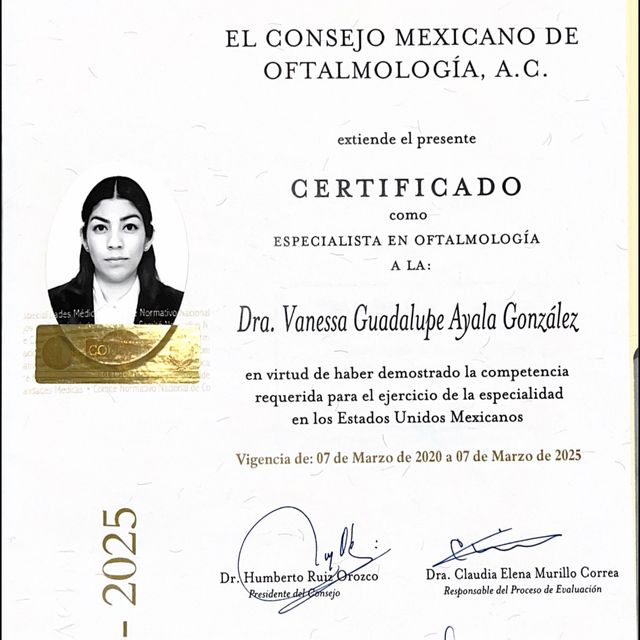 Ampliar imagen: certificate 1