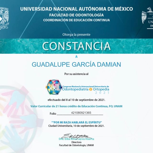 Ampliar imagen: certificate 4