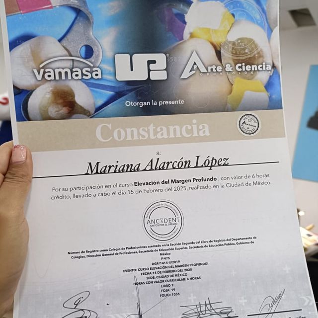 Ampliar imagen: certificate 8