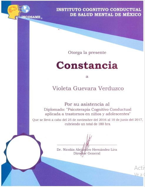 Ampliar imagen: certificate 1