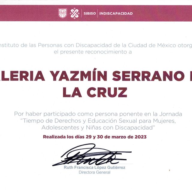 Ampliar imagen: certificate 1