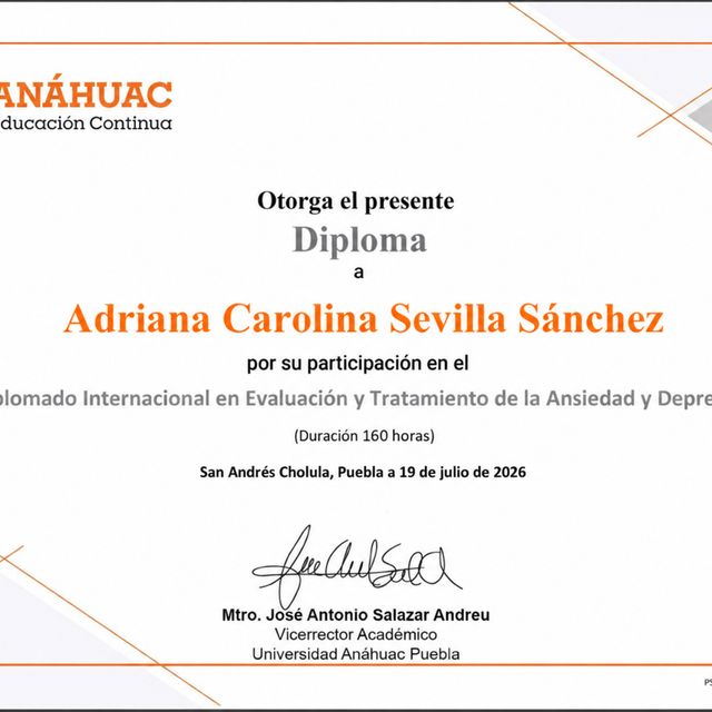 Ampliar imagen: certificate 10