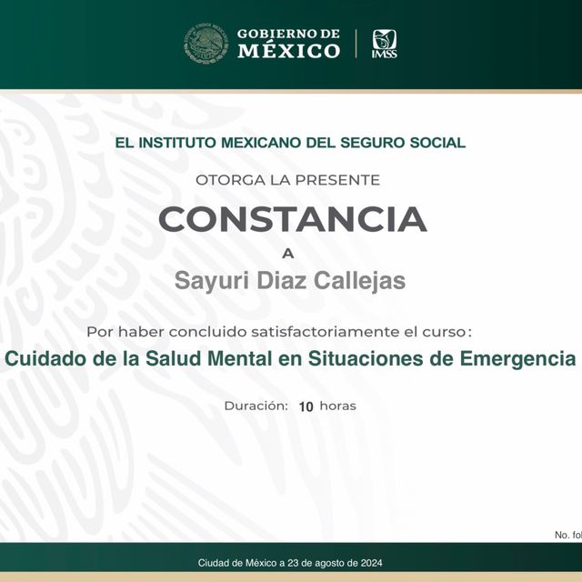 Ampliar imagen: certificate 5